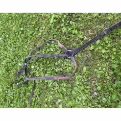 Collier de chasse + martingale*Decathlon New