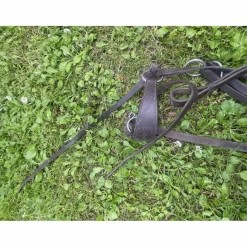 Collier de chasse + martingale*Decathlon New