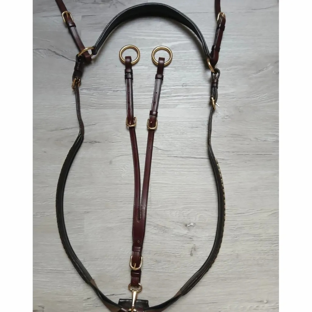 Collier de chasse + martingale clincher*HKM Sale