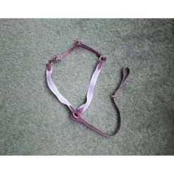 - Marque inconnue - Colliers De Chasse>Collier de chasse + martingale