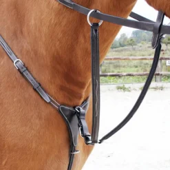 Collier de chasse + Martingale Dansel*Dalmar
