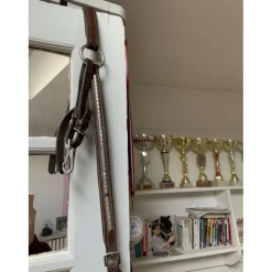 - Marque inconnue - Colliers De Chasse>Collier de chasse + martingale clincher