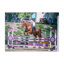 HFI Colliers De Chasse>Collier de chasse + martingale cuir et élastiques beige