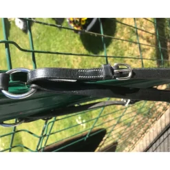 Collier de chasse + martingale*Fouganza Hot