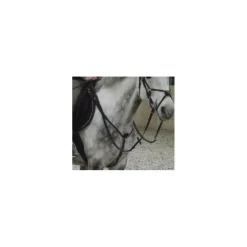 Norton Colliers De Chasse>Collier de chasse + martingale