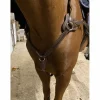collier de chasse 5 points*- Marque inconnue - Outlet