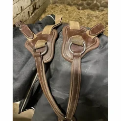 collier de chasse 5 points*- Marque inconnue - Outlet