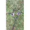 - Marque inconnue - Colliers De Chasse>Collier de chasse 5 points