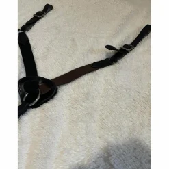 Collier de Chasse 5 points*- Marque inconnue - Discount
