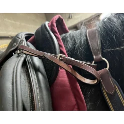 collier de chasse 5 points*HKM New