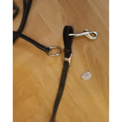 After Riding Colliers De Chasse><noscript><img width=