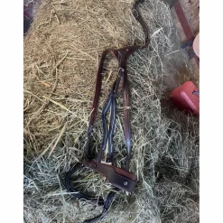 collier de chasse*Antares Online