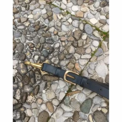 collier de chasse avec martingale*- Marque inconnue - Online