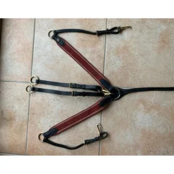 Collier de chasse avec martingale*HFI