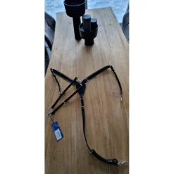Prestige Colliers De Chasse><noscript><img width=