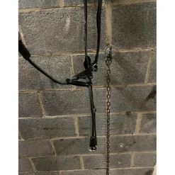 T de T Colliers De Chasse><noscript><img width=