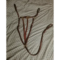 Collier de chasse avec sa martingale*Kramer