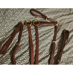Collier de chasse avec sa martingale*Kramer