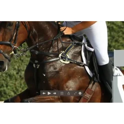 Collier de chasse*CSO Sale