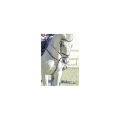CWD Colliers De Chasse>Collier de chasse
