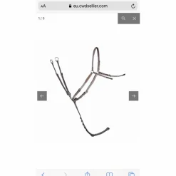 Collier de chasse*CWD Best