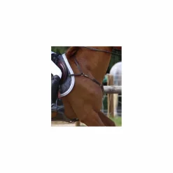 Collier de Chasse à pont*CWD Sale