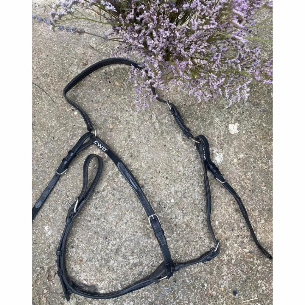 Collier de chasse noir taille 1*CWD Online
