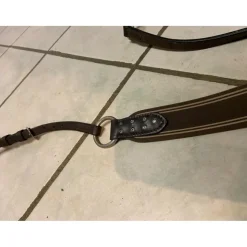 HFI Colliers De Chasse><noscript><img width=