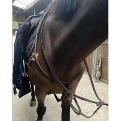 Collier de Chasse*Devoucoux Outlet