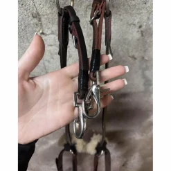 collier de chasse*Devoucoux Best