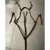 Devoucoux Colliers De Chasse>Collier de chasse