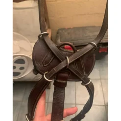 Dy'on Colliers De Chasse>Collier de chasse Dy’on