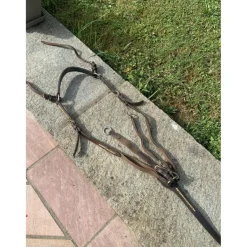Collier de chasse en cuir (taille cheval)*Chetak Online