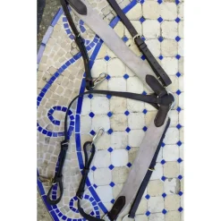 Collier de chasse et martingale amovible*HFI Hot