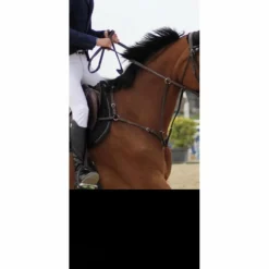 Herve Godignon - Jump'in Colliers De Chasse>collier de chasse herve godignon taille 2