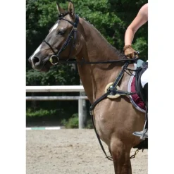 COLLIER DE CHASSE ÉLASTIQUE C.S.O. "CONFORT" CHEVAL*CSO Best