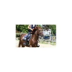 Time Rider Colliers De Chasse><noscript><img width=