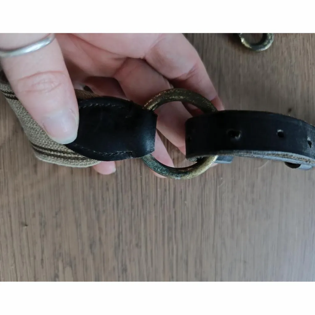 - Marque inconnue - Colliers De Chasse>Collier de chasse martingale