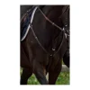 Collier de chasse martinguale*Fouganza Hot