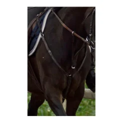 Collier de chasse martinguale*Fouganza Hot