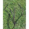 - Marque inconnue - Colliers De Chasse>collier de chasse plat + martingale GUIBERT