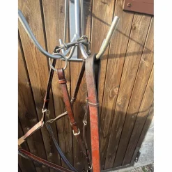 - Marque inconnue - Colliers De Chasse><noscript><img width=