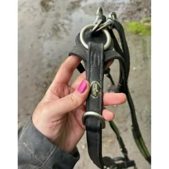 Collier de chasse Éric Thomas*Eric Thomas Hot