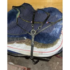 Collier de chasse Éric Thomas*Eric Thomas Hot