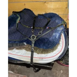Collier de chasse Éric Thomas*Eric Thomas Hot
