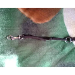 Fouganza Colliers De Chasse><noscript><img width=
