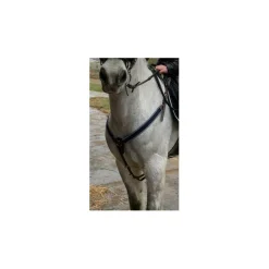 Time Rider Colliers De Chasse><noscript><img width=