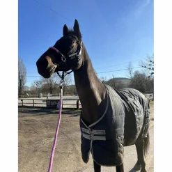 Couverture + couvre cou*Horseware Hot