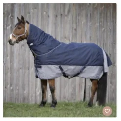 Equitheme Couvertures>Couverture ave couvre cou