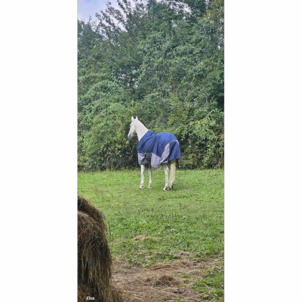 Equitheme Couvertures>Couverture d'extérieur equiteme